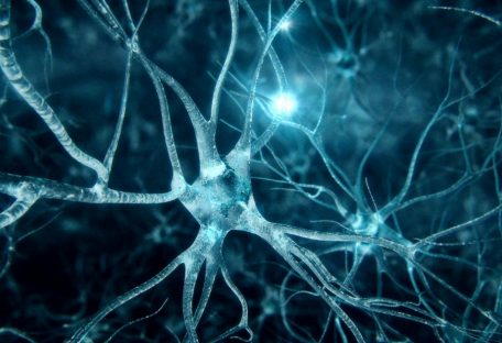 Болезнь Альцгеймера может зародиться вне мозга