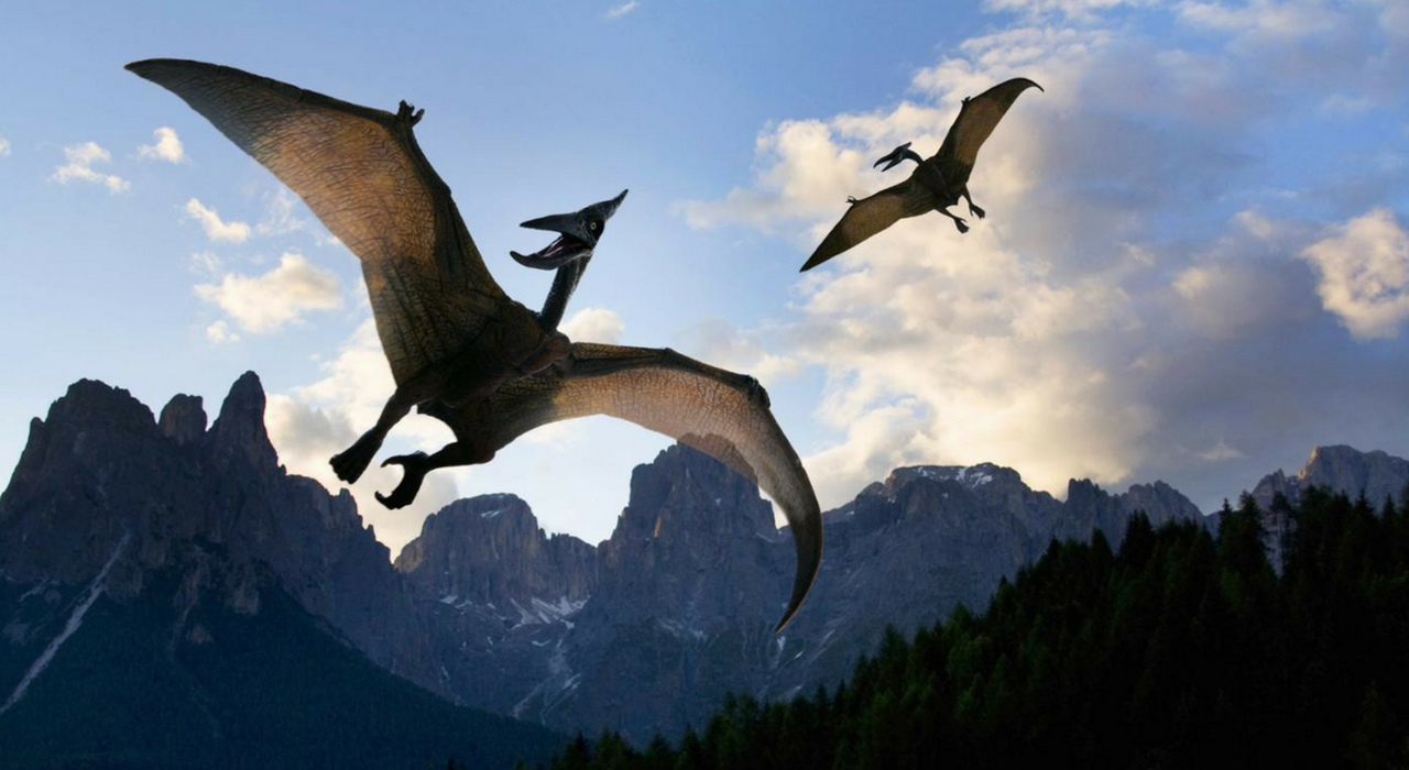 В Монголии откопали останки гигантского летающего хищника