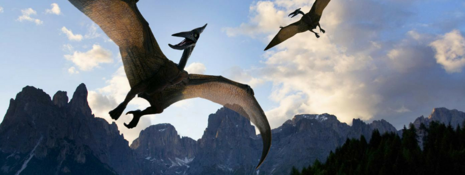 В Монголии откопали останки гигантского летающего хищника