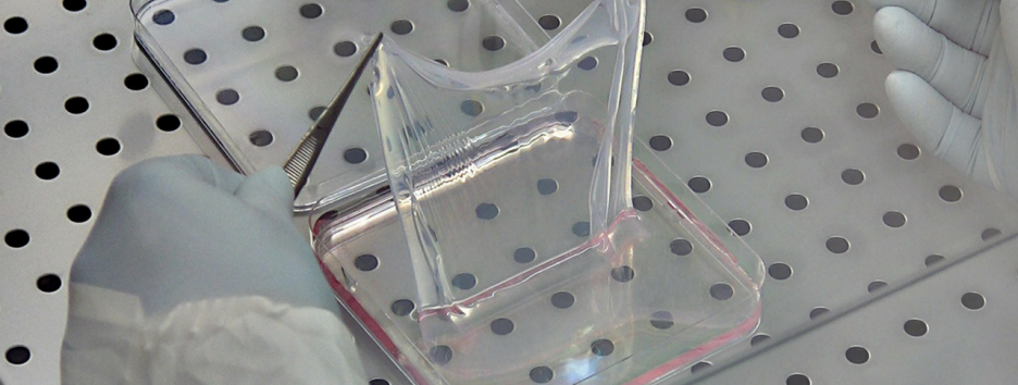 Генетически модифицированная кожа спасла жизнь 7-летнему мальчику