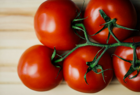 Генно-модифицированные томаты оказались более полезными