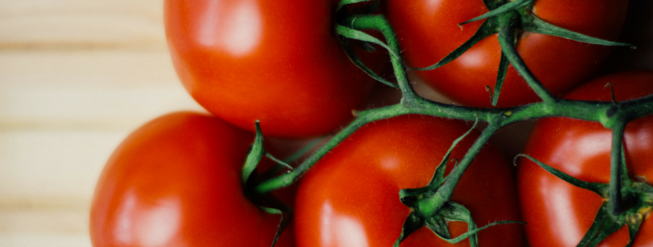 Генно-модифицированные томаты оказались более полезными