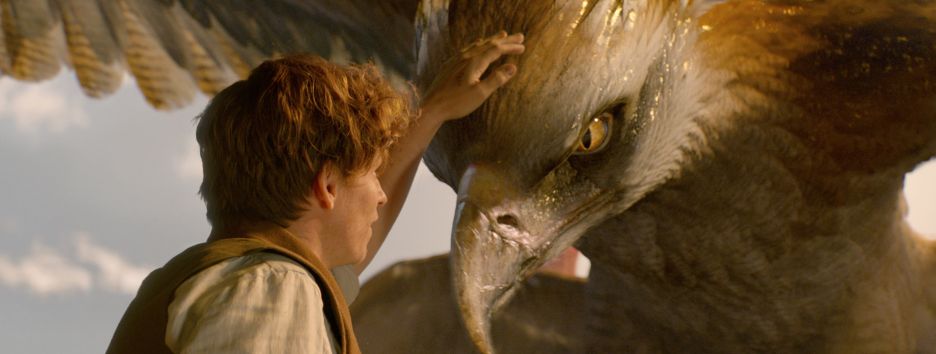 Как «Фантастические твари» заткнули за пояс «Гарри Поттера»