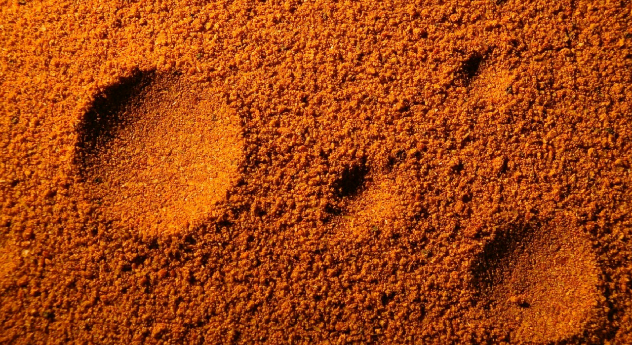 Дождевые черви могут выжить даже в марсианской почве
