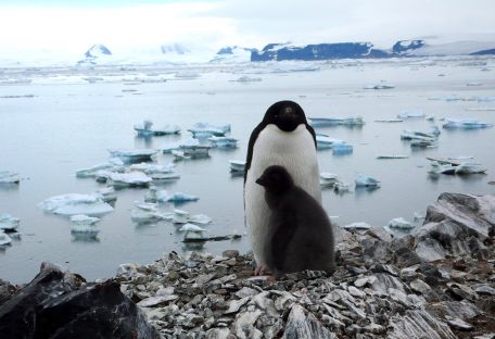 Жареные кузнечики, деревня с мумией вождя и остров из пластика: истории киевской путешественницы