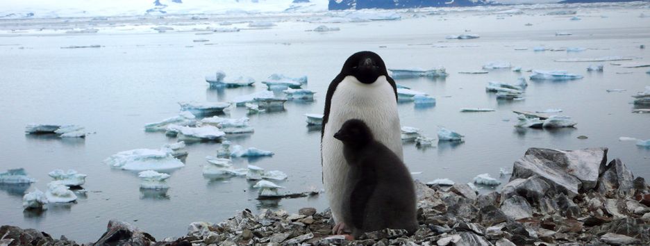 Жареные кузнечики, деревня с мумией вождя и остров из пластика: истории киевской путешественницы