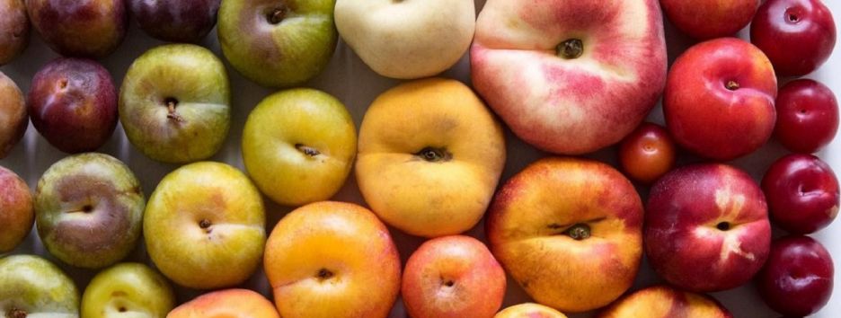 Американский фуд-фотограф показывает людям настоящую красоту еды