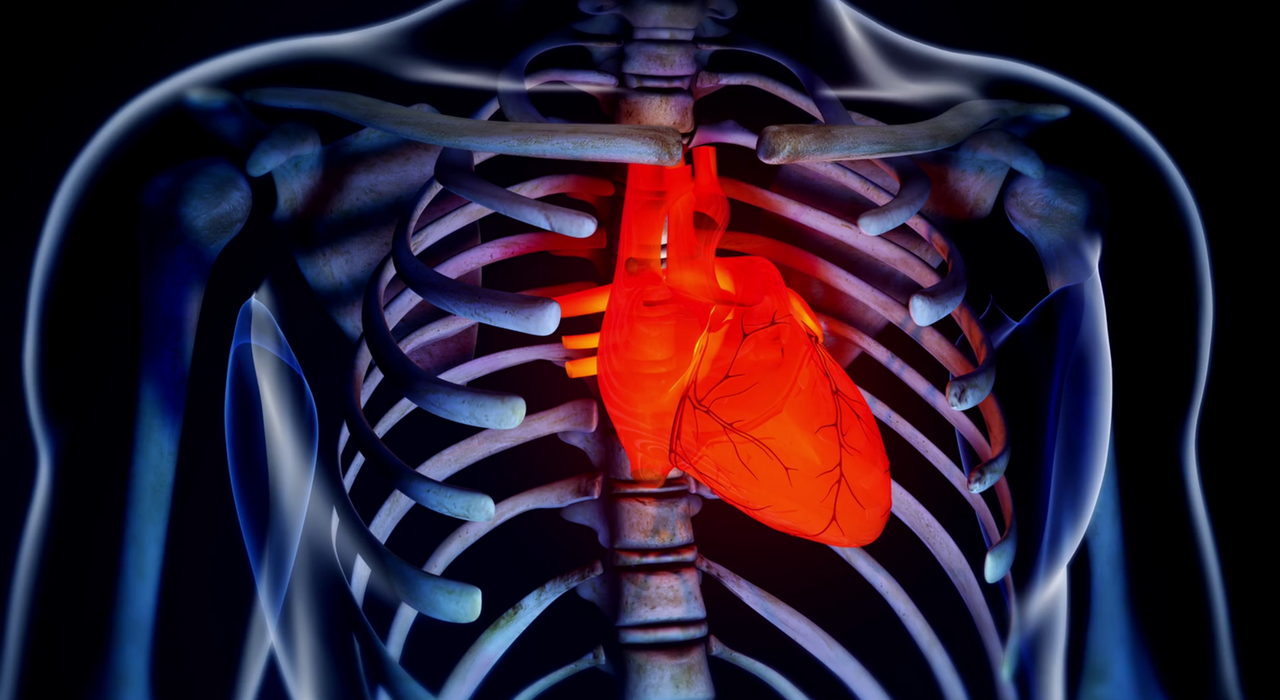Инъекционный гель помогает восстановить сердечную мышцу после инфаркта
