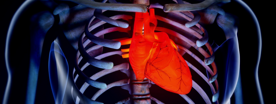 Инъекционный гель помогает восстановить сердечную мышцу после инфаркта