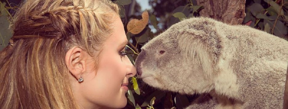 Instagram решил запретить селфи с дикими животными