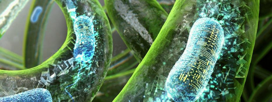 Ученые напечатали на 3D-принтере «живые» татуировки