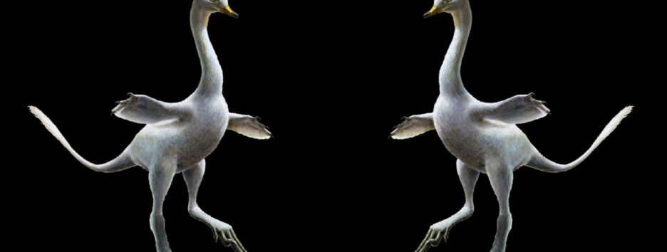 Открыт новый вид динозавров — с утиной мордой, гусиной шеей и огромными когтями