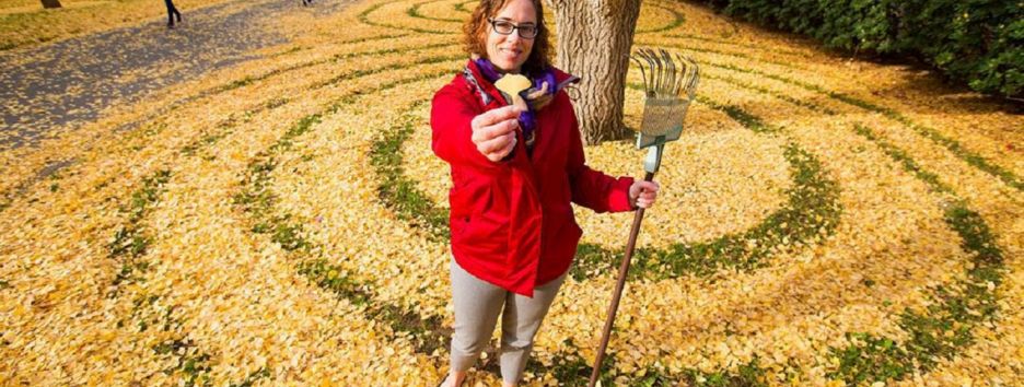 Художница создает геометрические узоры и лабиринты из опавших листьев