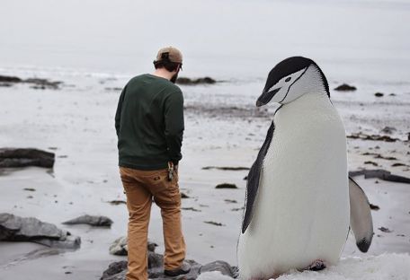 В Новой Зеландии нашли кости пингвина размером с человека