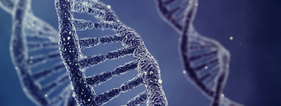 Редкая генетическая мутация сделала членов семьи нечувствительными к боли