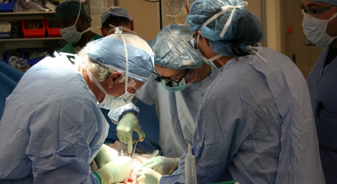 В США создали первую фабрику по производству искусственных человеческих органов для трансплантации