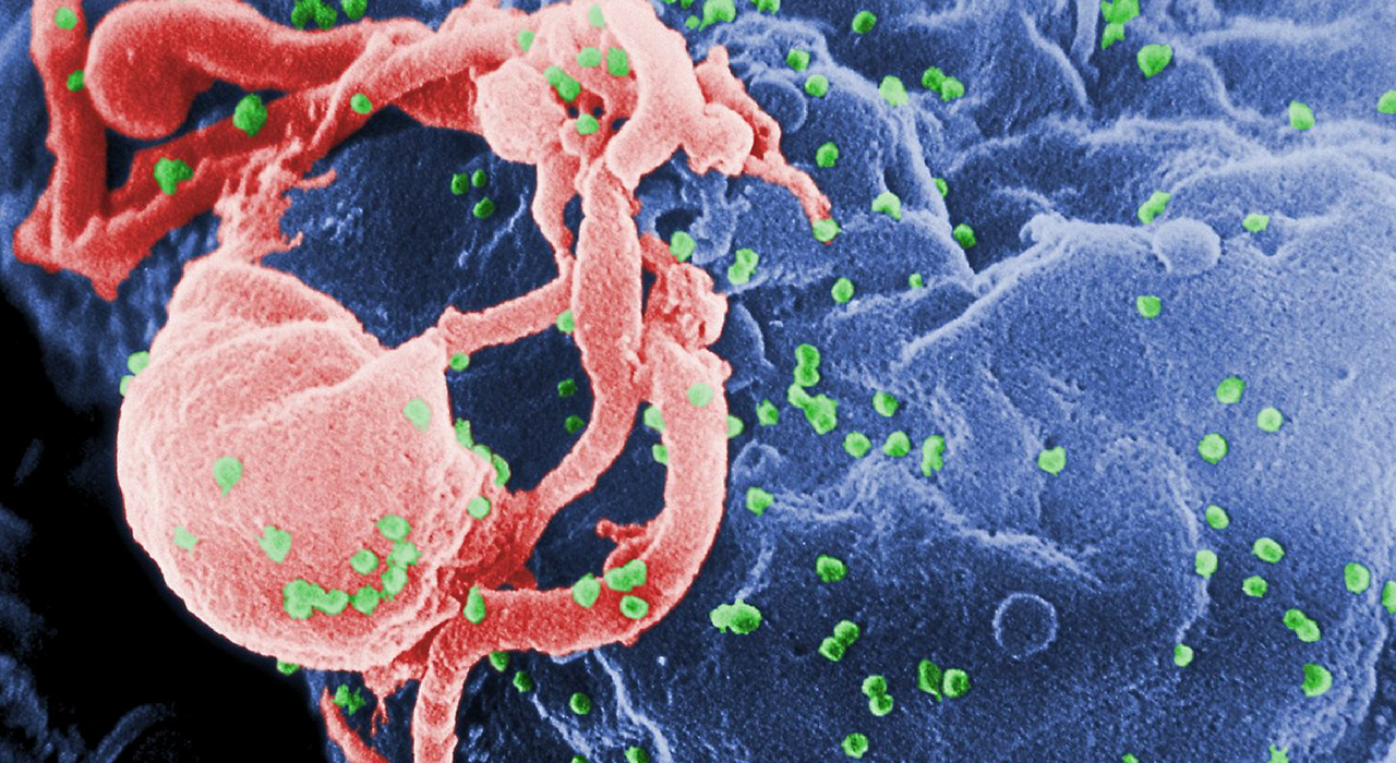Новая капсула позволит принимать лекарства от ВИЧ раз в неделю