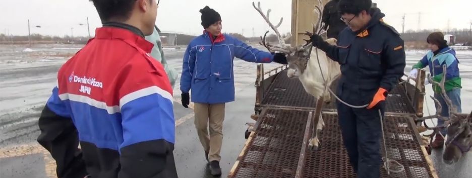 Японская Domino’s готовит оленей для доставки пиццы