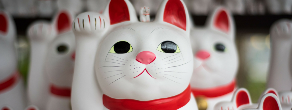 Среди кошек тоже бывают правши и левши, и это говорит об их характере