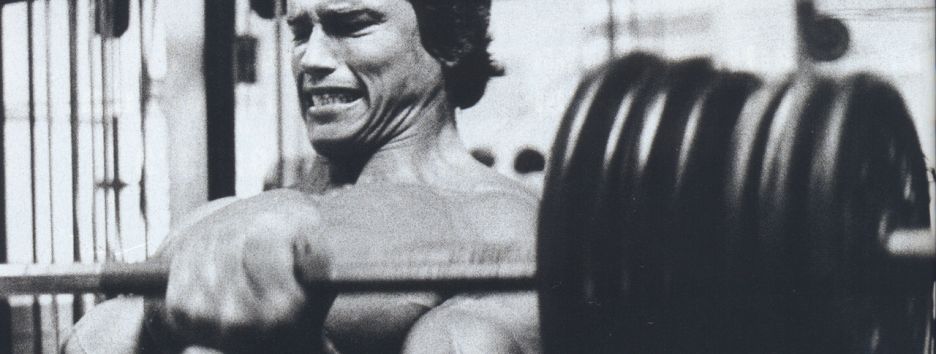 Самую маленькую в мире муху назвали в честь Арнольда Шварценеггера