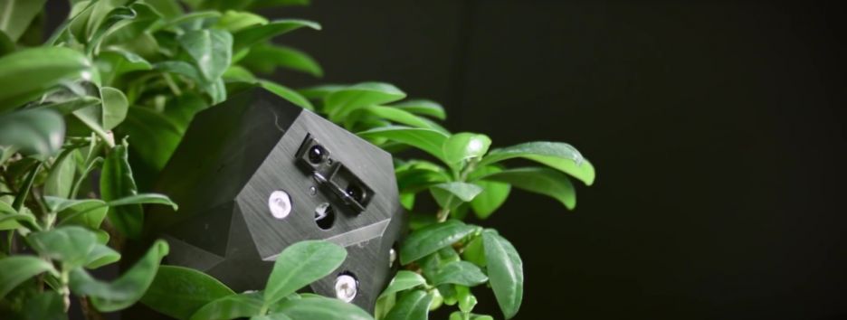 Новый проект Flora Robotica соединил роботов и растения