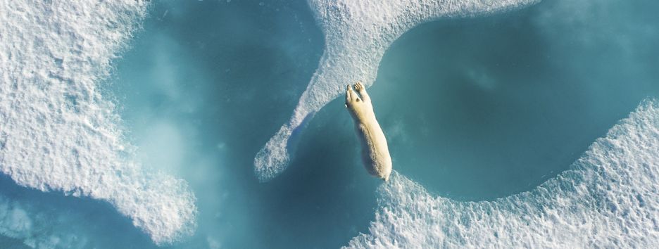 Лучшие снимки с высоты птичьего полета, сделанные беспилотниками