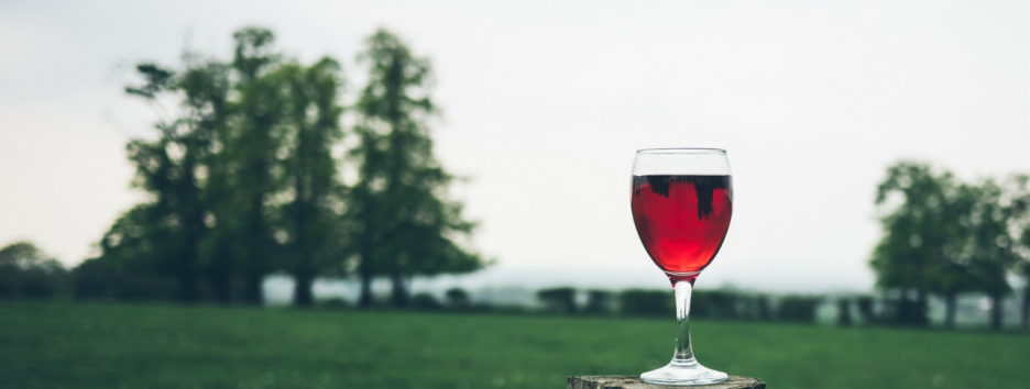 Ученые назвали низкие дозы алкоголя полезными для мозга