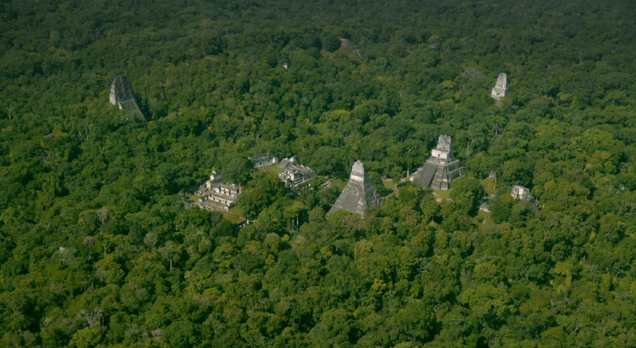 В джунглях Гватемалы обнаружили затерянный город майя