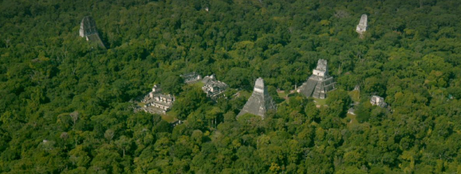 В джунглях Гватемалы обнаружили затерянный город майя