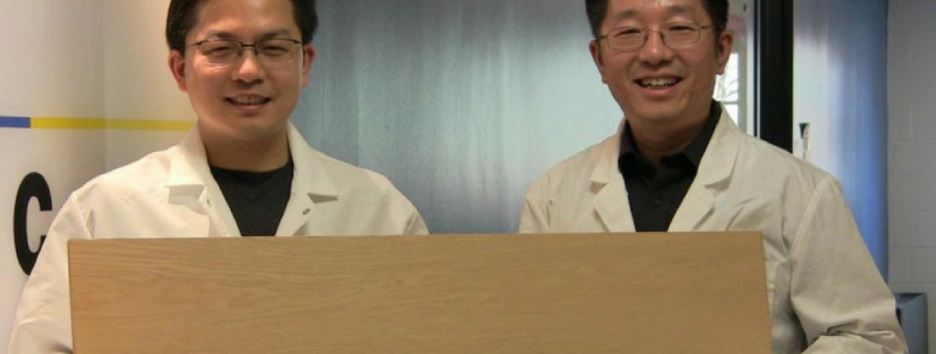 Создана древесина, обладающая прочностью стали