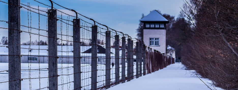 Ученые рассказали, как тюрьма влияет на поведение заключенных