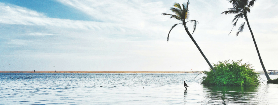 Уровень Мирового океана повышается быстрее, чем считалось раньше