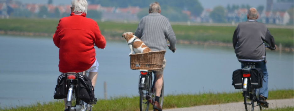 Недостаток физической активности ускоряет деградацию мозга