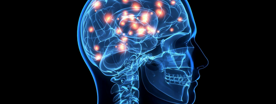Терапия на основе стволовых клеток помогает устранить повреждение мозга у жертв инсульта