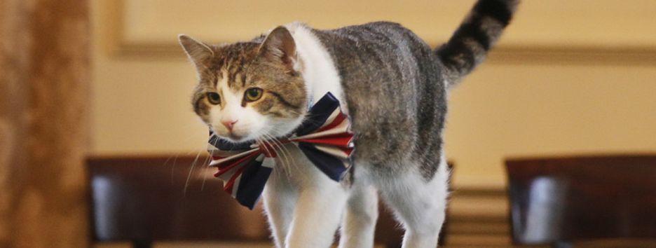 Brexit Шредингера