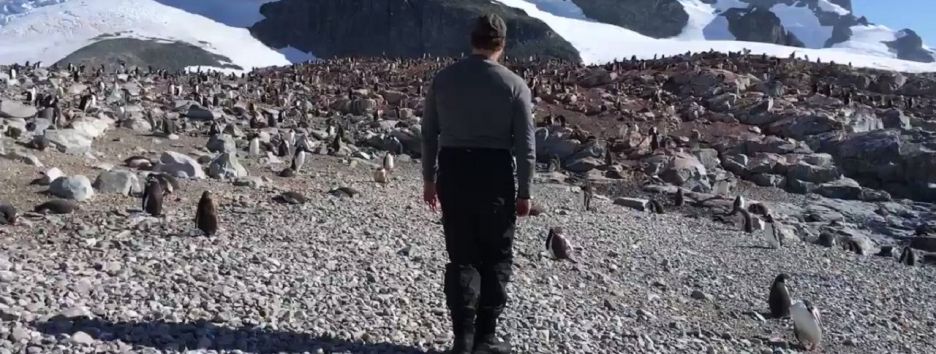 Дэвид Харбор из Stranger Things станцевал с пингвинами в Антарктике