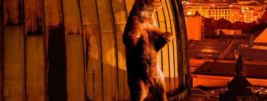 Названы победители Берлинского кинофестиваля-2018