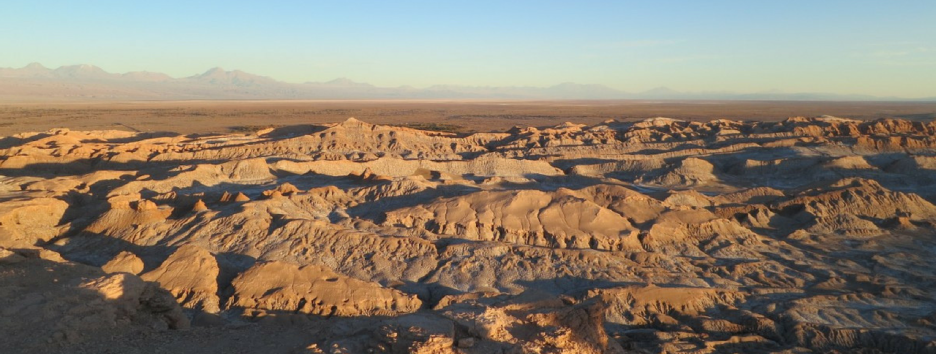 Найденные в пустыне Атакама бактерии дают надежду на жизнь на Марсе