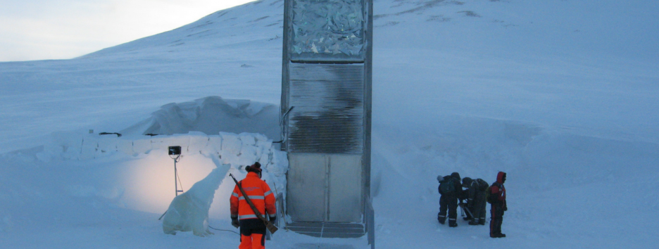 Норвегия модернизирует Всемирное семенохранилище для защиты растений от глобальной катастрофы