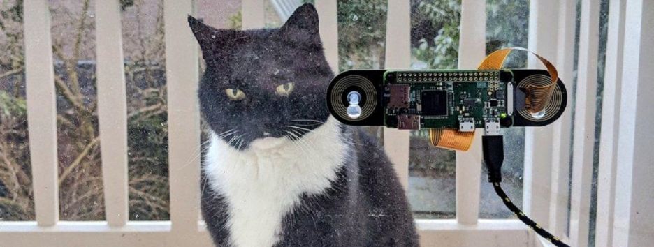 Голландский разработчик создал систему распознавания морды своего кота