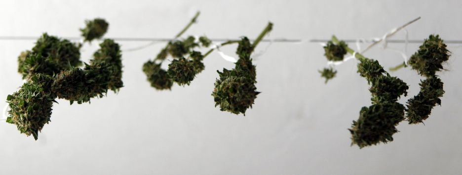 Как интернет поменял наркоторговлю