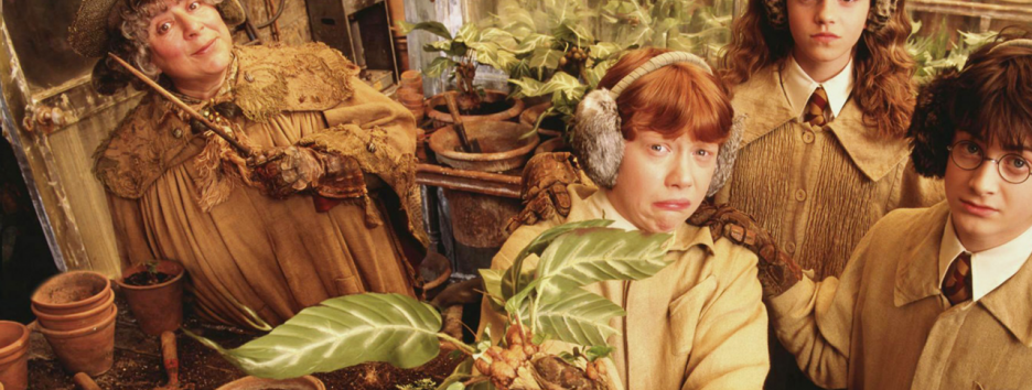 Сможете ли вы отличить эффективные народные средства от ерунды