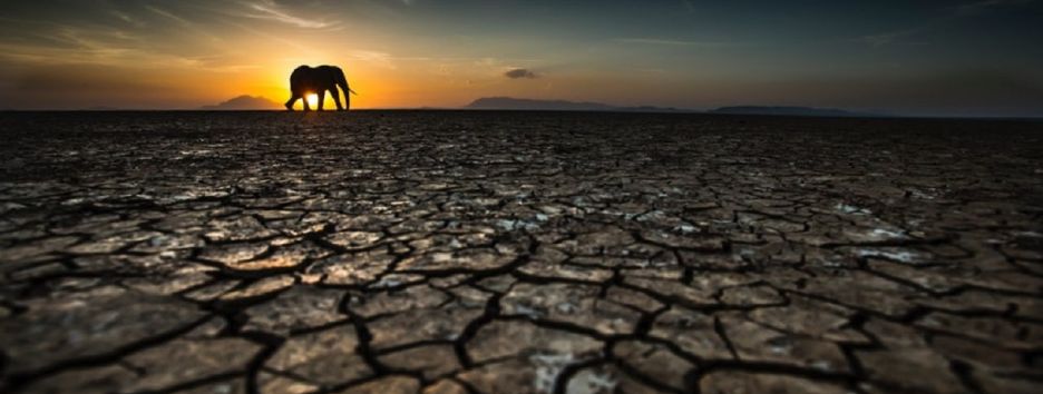 Конкурс Sony World Photography Awards 2018 представил лучшие работы