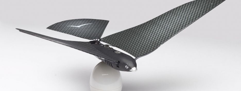 Новый дрон Bionic Bird даже птицы принимают за своего