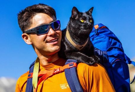 Кот два года путешествует вместе с хозяином в рюкзаке