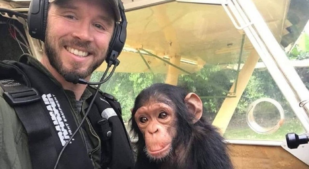 Трогательное видео спасенного шимпанзе, летящего на коленях у пилота, покоряет сеть