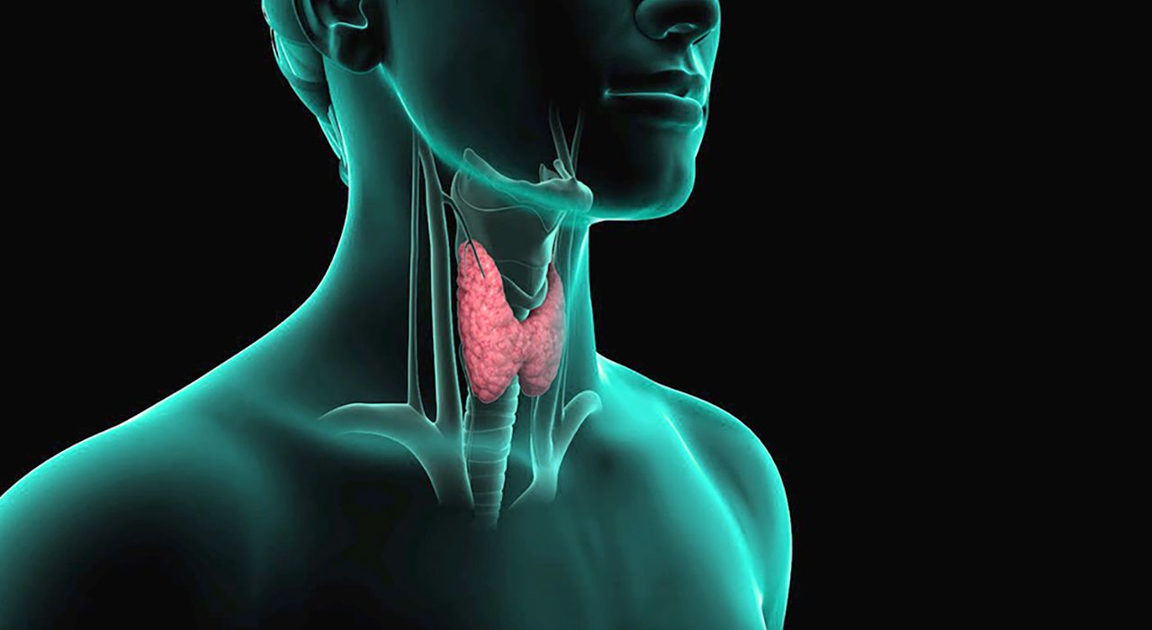 Заболевания щитовидной железы: как их распознать и лечить