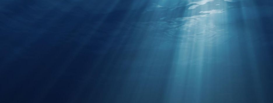 В Индийском океане нашли 