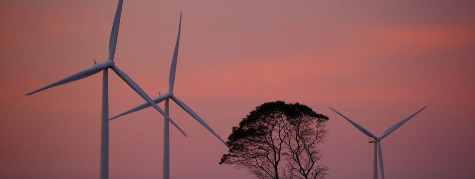 Google полностью переходит на возобновляемую энергию