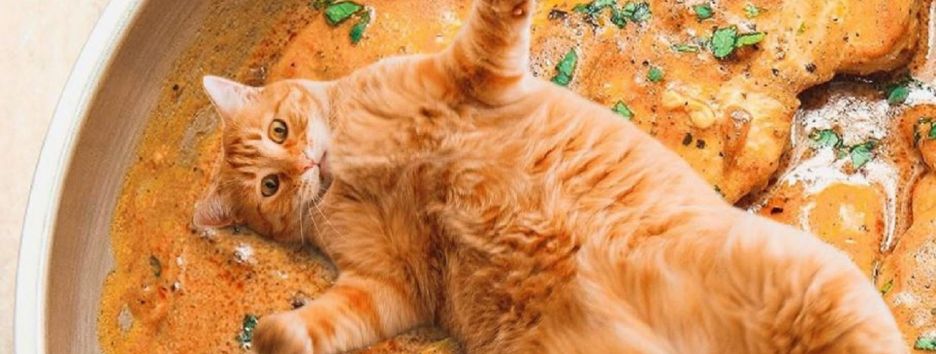 Художница создает в Photoshop необычные кадры: она совмещает котиков и еду